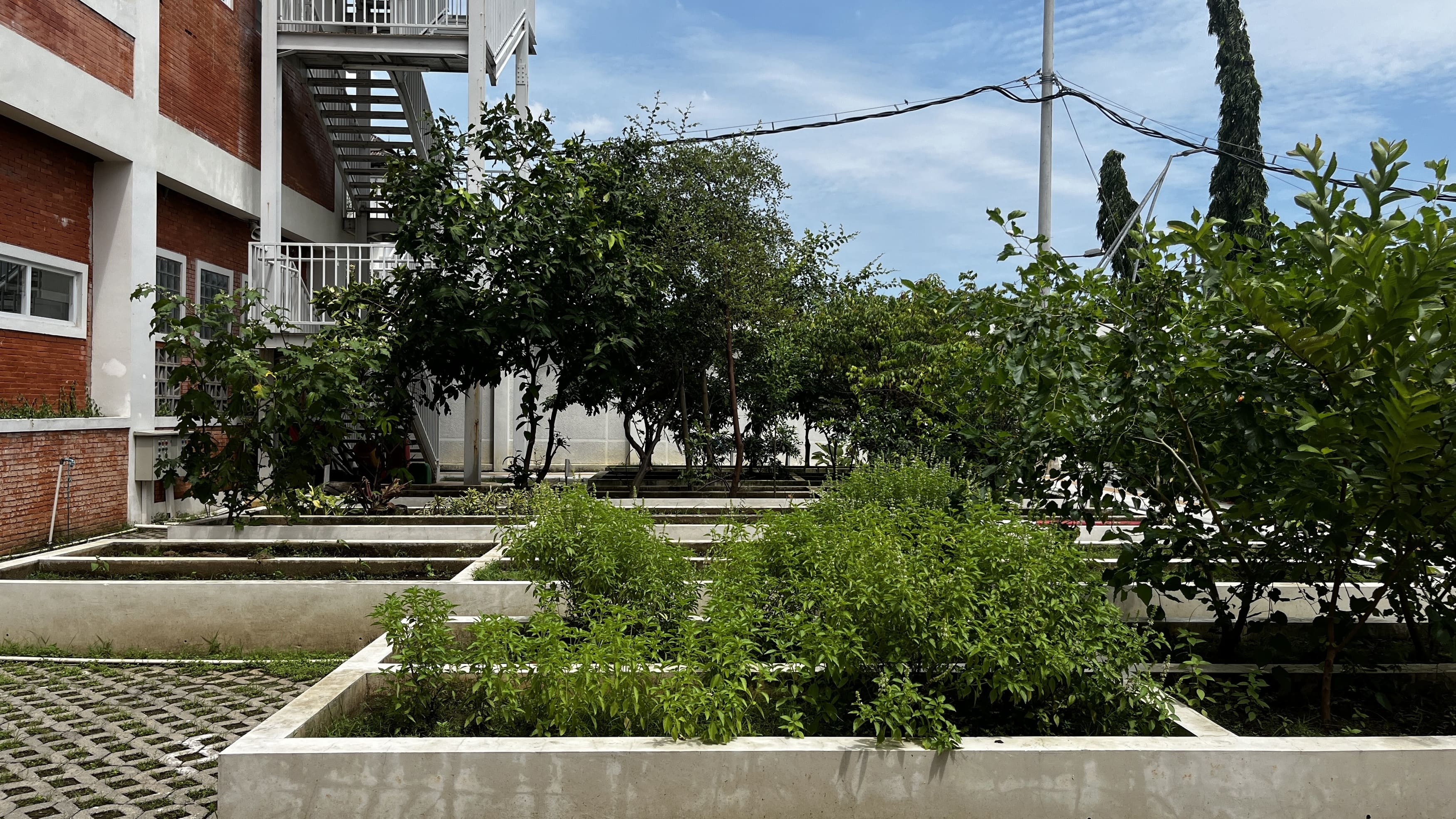 Kebun Produktif 