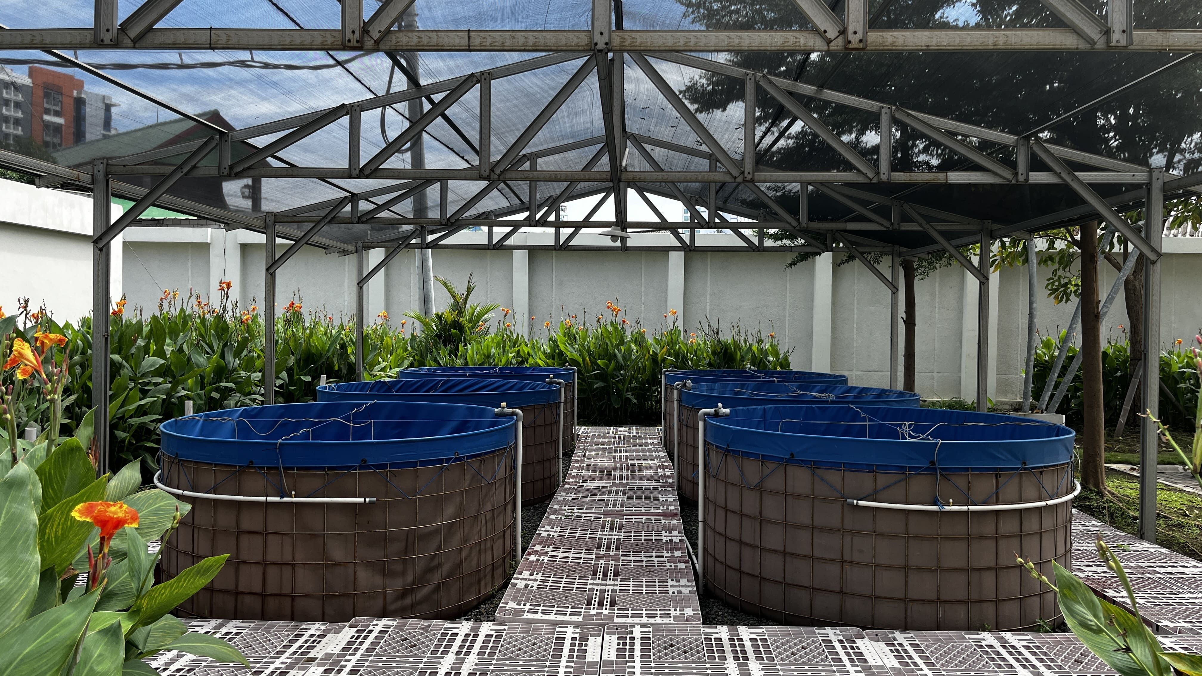 Kolam Bioflog